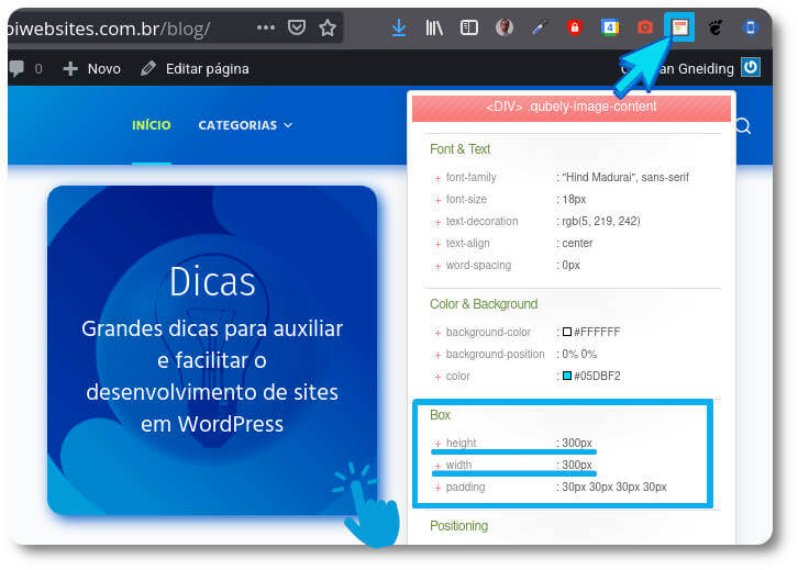 Otimização de Site WordPress - VESPERTINO